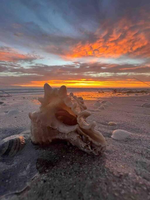 Вилла Cocoa, Beach House Экстерьер фото