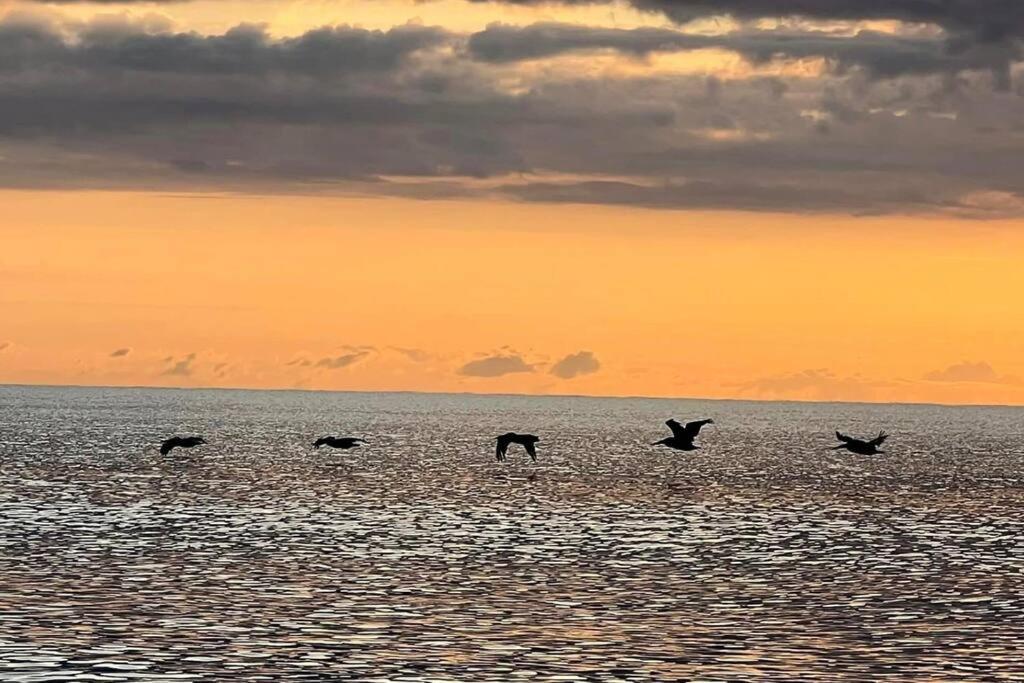 Вилла Cocoa, Beach House Экстерьер фото